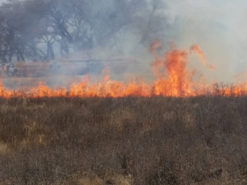 Identifican a quien provocó incendio forestal en Temalacayuca