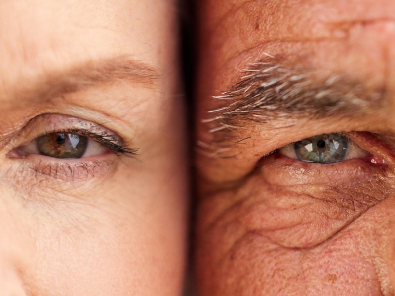Identifican proteína determinante en proceso de envejecimiento de la piel
