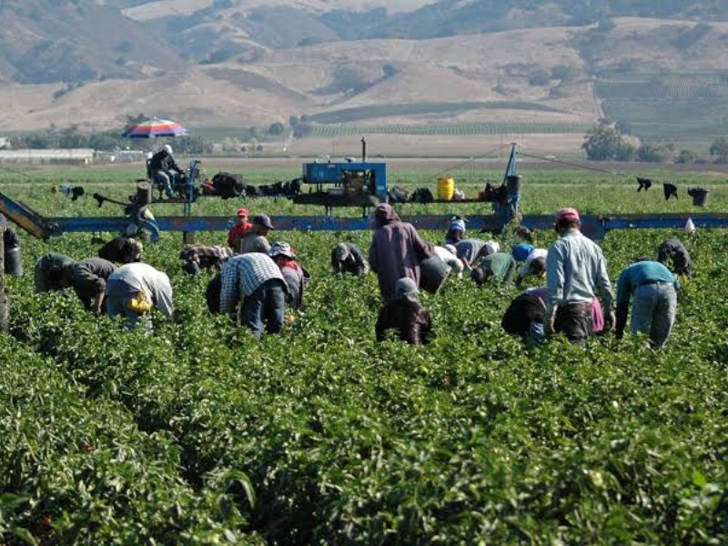 Identifican ranchos en Baja California Sur con presunta explotación laboral
