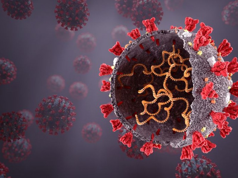 IHU, nueva variante del coronavirus detectada en Francia