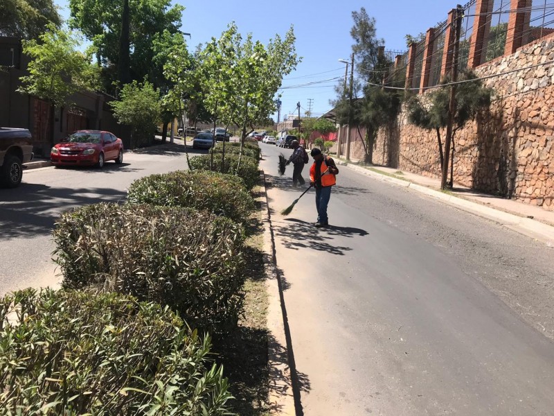 Imágen Urbana le da mantenimiento Áreas verdes.