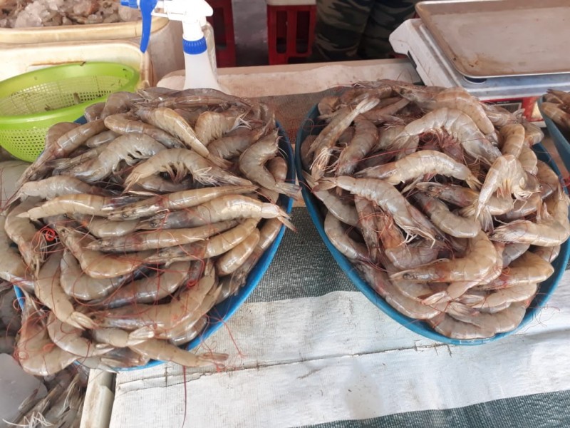 Cae 50% venta de pescados y mariscos en Tepic | MEGANOTICIAS