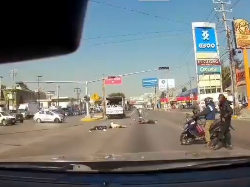 Guardia Nacional atropella y mata a biker en Ecatepec | Meganoticias