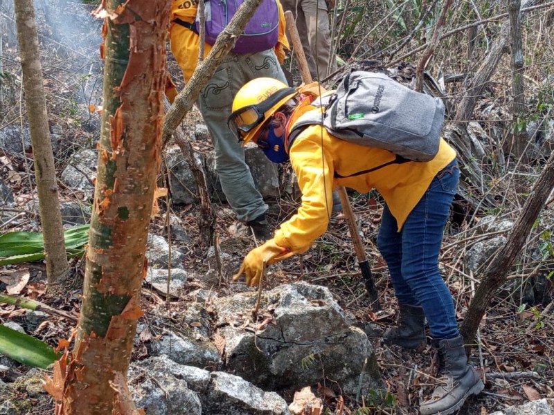 Imparable incendio en Cañón, consume 540 hectáreas