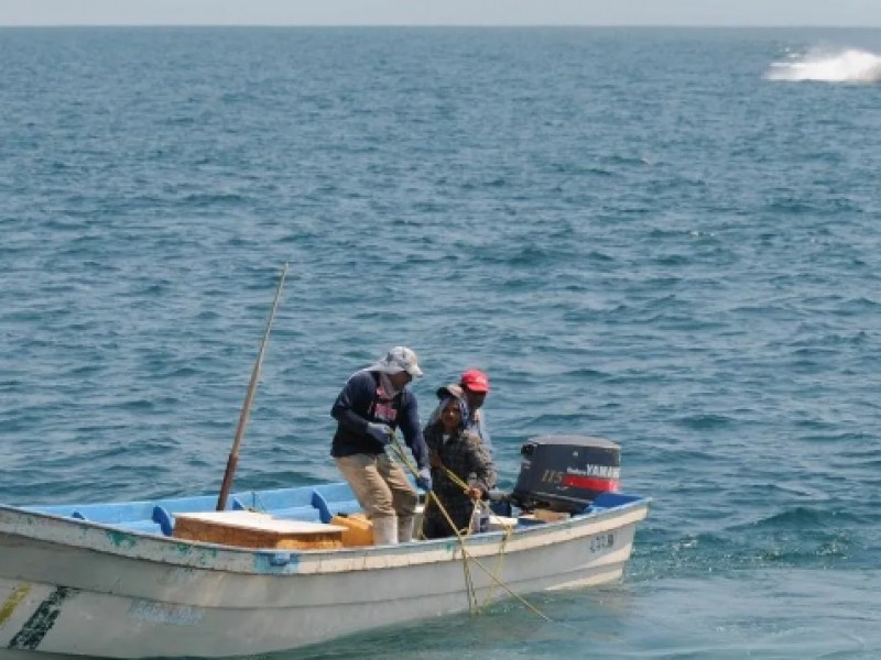 Imparable pesca furtiva de camarón ante ola de desempleo en Ahome