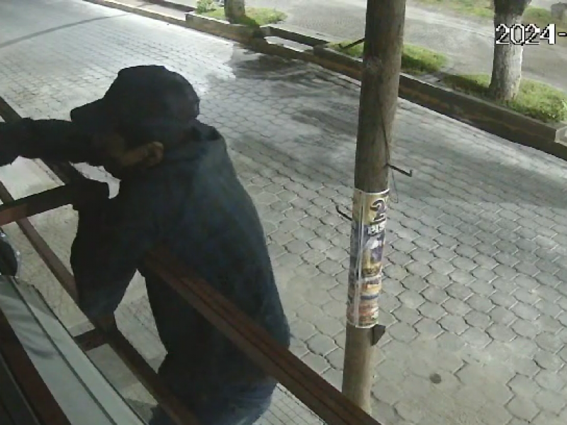 Imparables los ladrones de cámaras de vigilancia