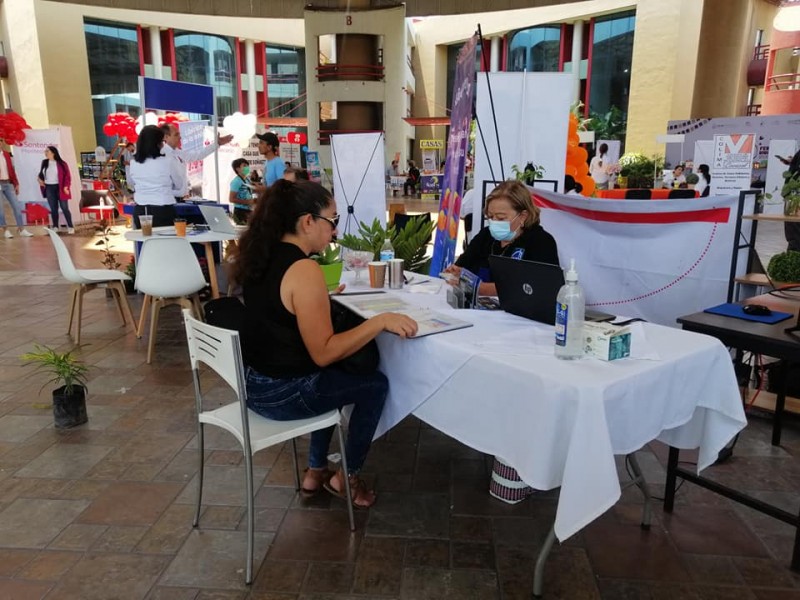 Impartirán talleres para buscadores de empleo en Colima