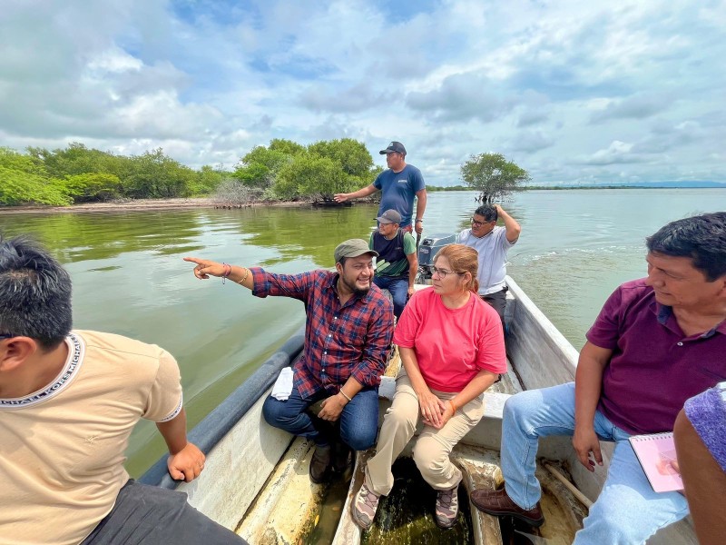 Implementa Coesfo programa Reforesta Oaxaca en Juchitán de Zaragoza