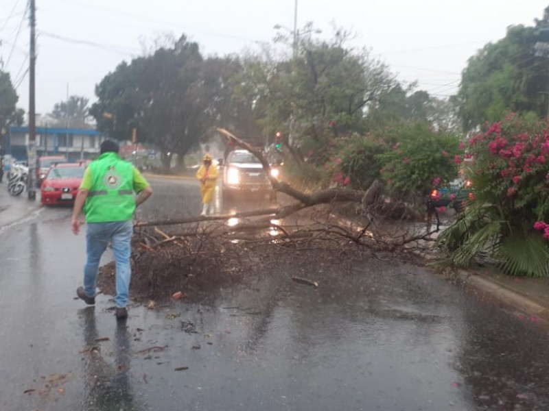 Implementan dependencias operativo por lluvia en Oaxaca