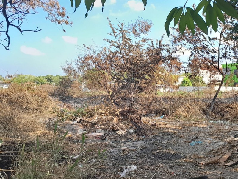 Implementan uso de guardarrayas para hacer frente a los incendios