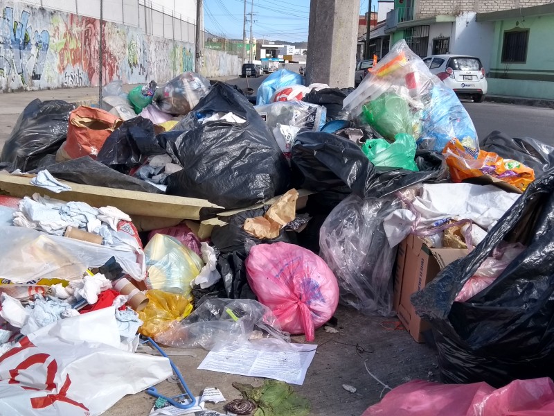 Implementarán nuevo programa de recolección de basura