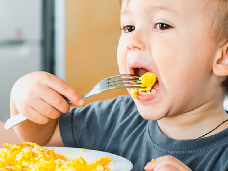 Importante desayuno balanceado en los niños