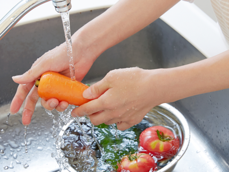 Importante extremar higiene en alimentos, ante temporada de calor