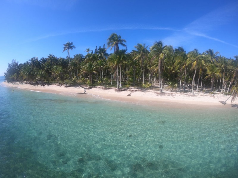 Importante mantener vigilancia sanitaria preventiva en Isla Lobos