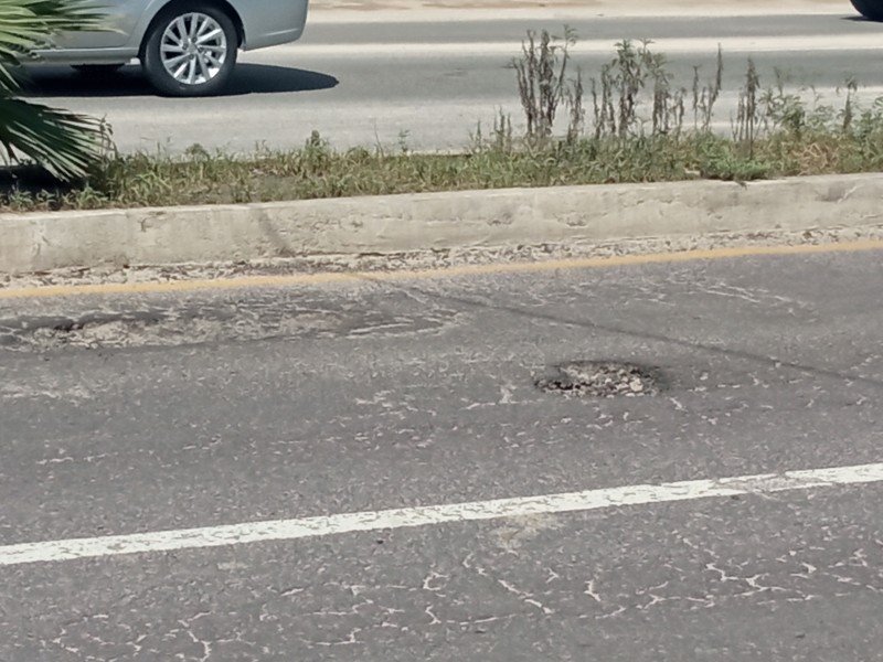 Importantes afectaciones en carretera por lluvias