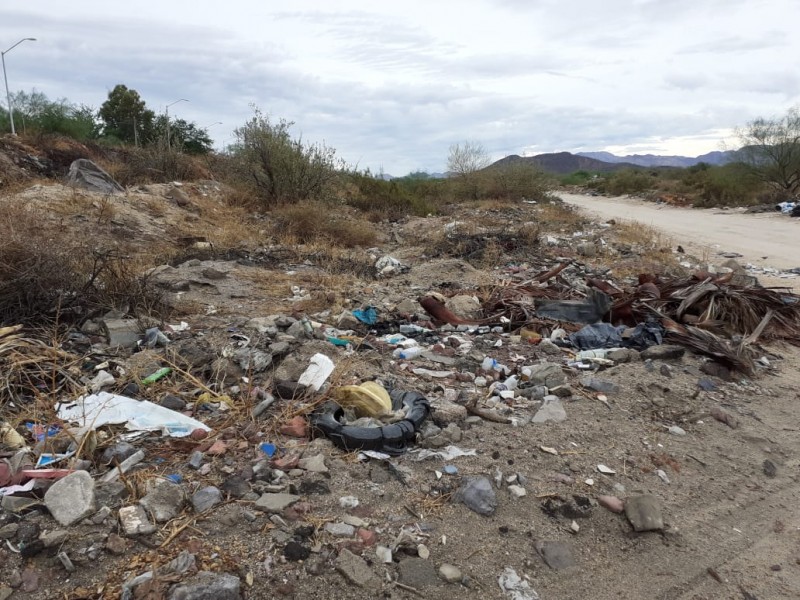 Impresionante la cantidad de basura acumulada en arroyos