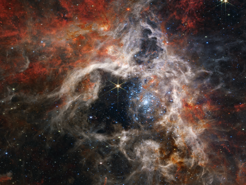 ¡Impresionante! telescopio James Webb fotografía a la nebulosa Tarántula