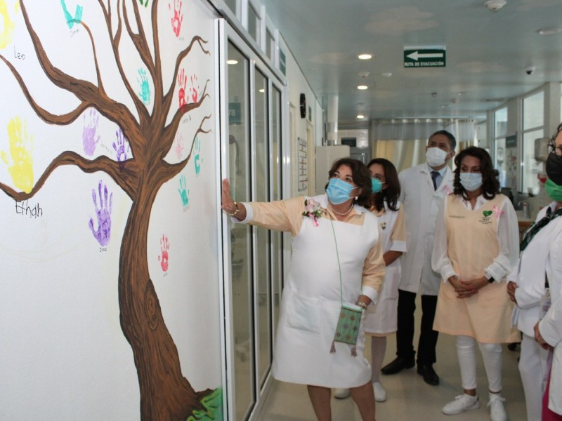 Impulsa actividades Voluntariado del IMSS Querétaro