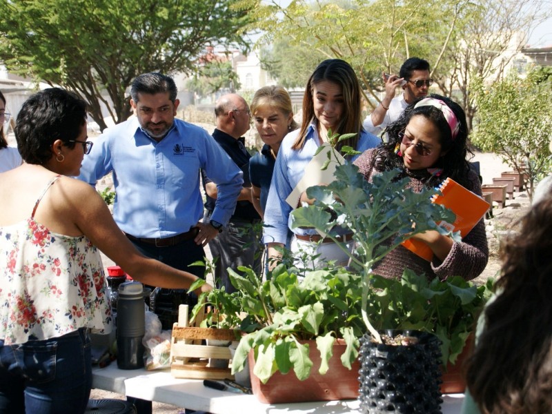 Impulsa SEDESU emprendimiento a través del cuidado del medio ambiente