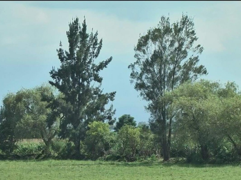 Impulsan construcción de parque municipal en tenencia zamorana