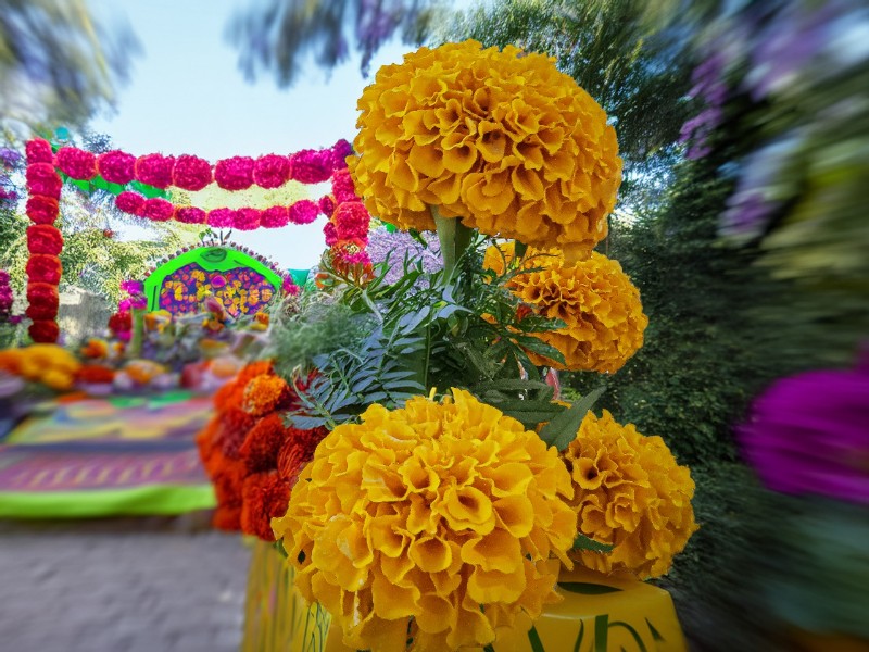 Impulsan consumo local en mercados y tianguis para el día de muertos Impulsan consumo local en mercados y tianguis para el día de muertos