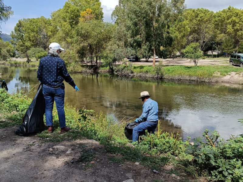 Impulsan control biológico del lirio acuático en el río Tunal