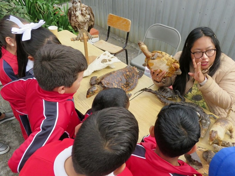 Impulsan diversas disciplinas en escuelas