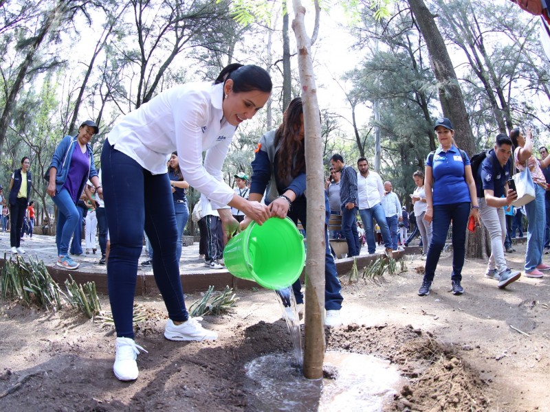 Impulsan el crecimiento del arbolado en el zoológico