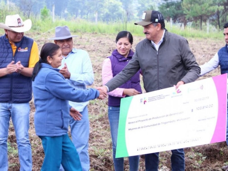 Impulsan geranios contra cambio de uso de suelo