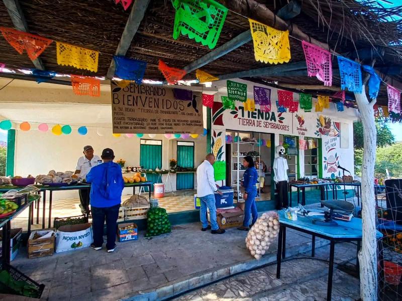 Impulsan la producción local en Tequisistlán., abren tienda Tierra de Sembradores