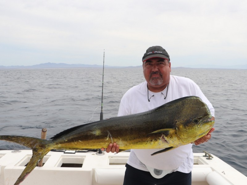 Impulsan pesca deportiva desde el Congreso de BCS