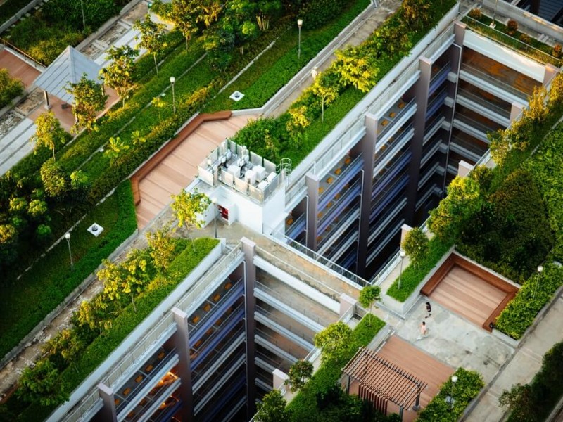 Impulsan proyectos de vivienda vertical, buscan frenar deterioro el ambiental