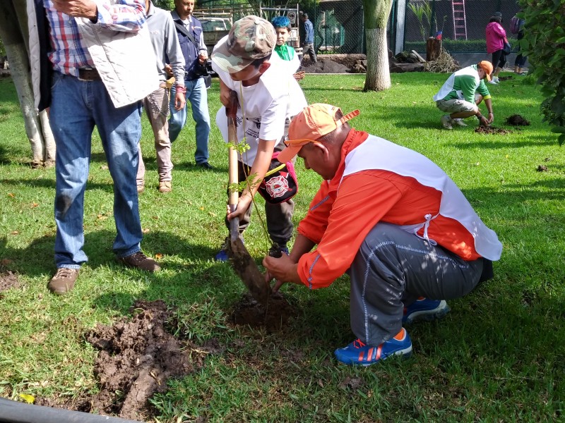 Impulsan reforestación en áreas del Zoológico de Morelia