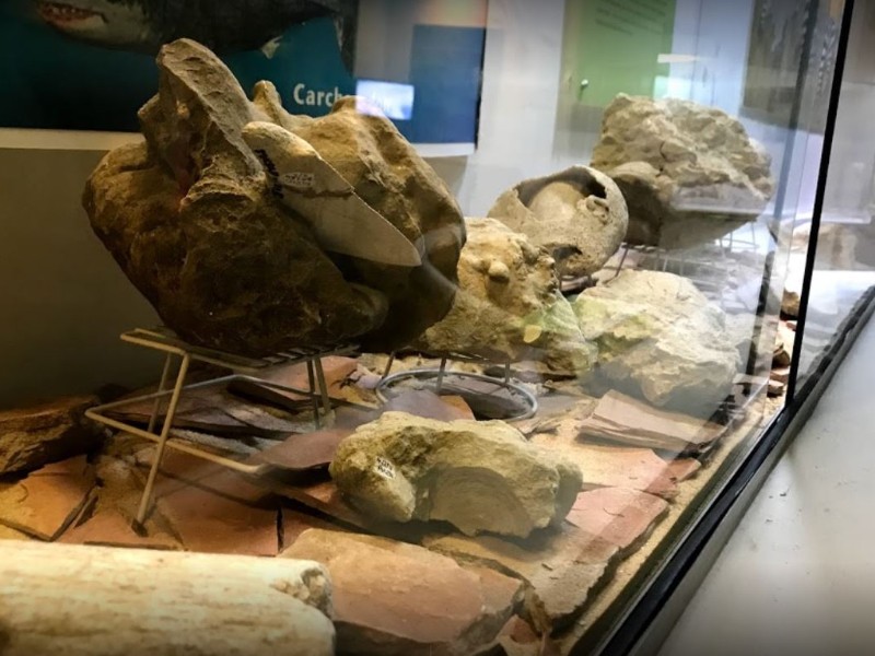 Impulsarán creación de museos y espacios culturales