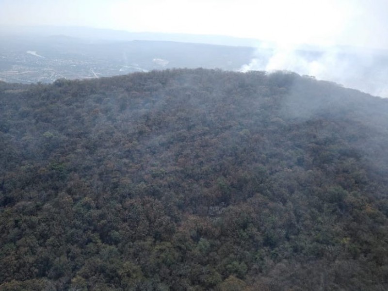 Impulsarán estudiantes campaña de reforestación