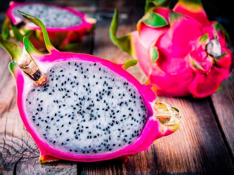 Impulsaran la producción de Pitahaya en la región de Tehuacán