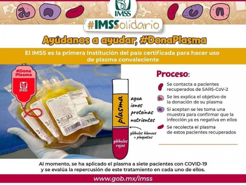 IMSS alienta la donación de plasma para pacientes con COVID-19