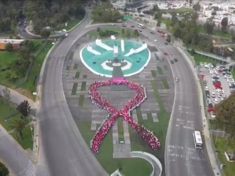 IMSS forma lazo rosa humano