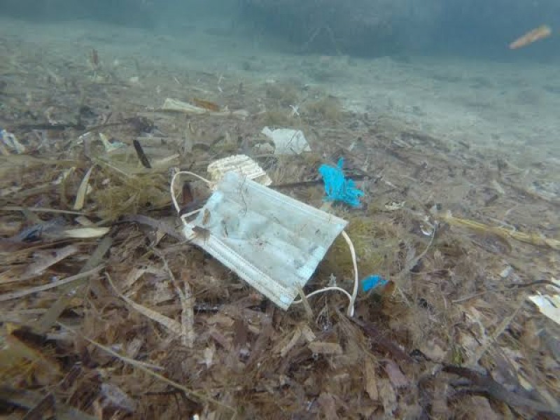 Inadecuado desecho de cubrebocas, afecta ecosistema marino