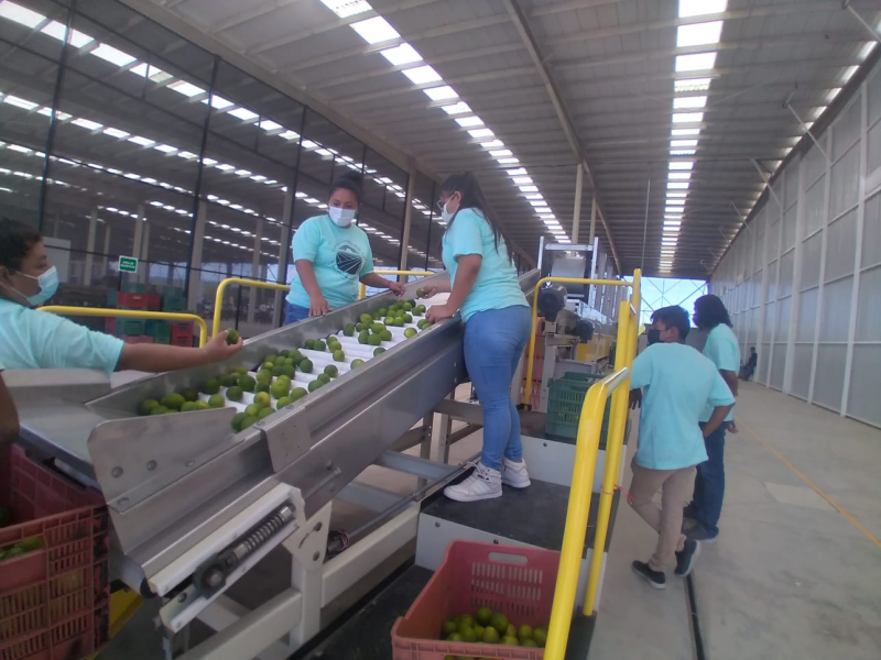 Inauguran agroindustria en Salina Cruz
