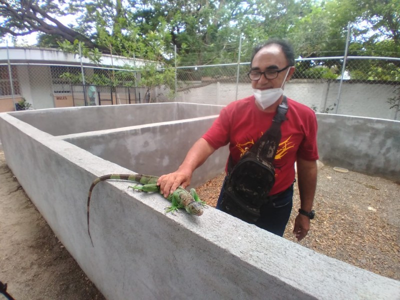 Inauguran iguanario escolar en Juchitán