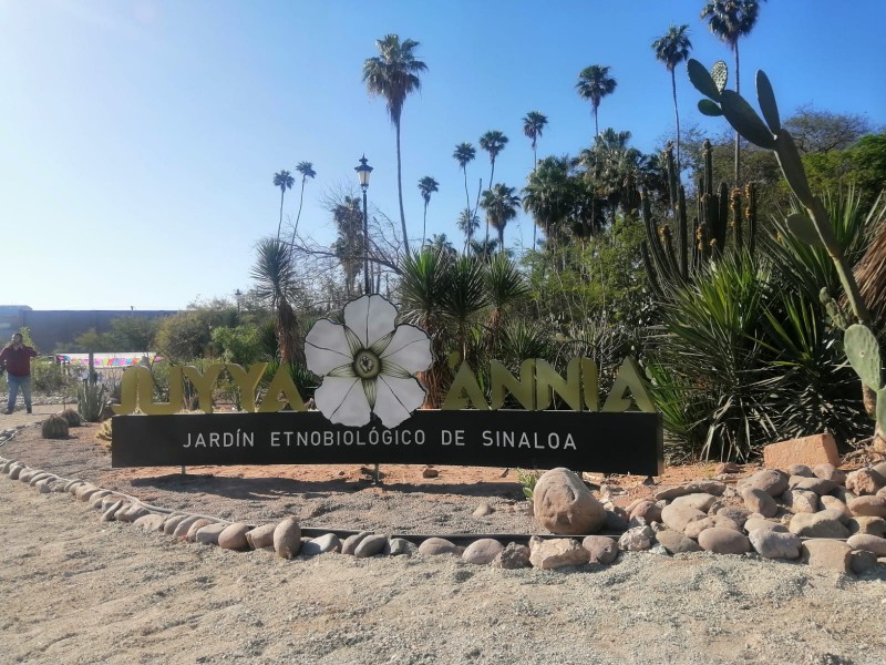 Inauguran Jardín Etnobiológico Juyya Ánnia en Los Mochis