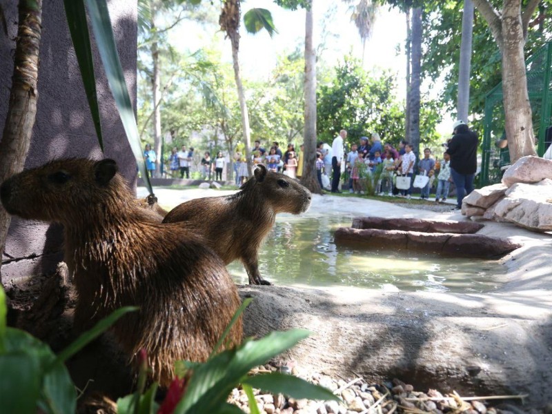 Inauguran la 