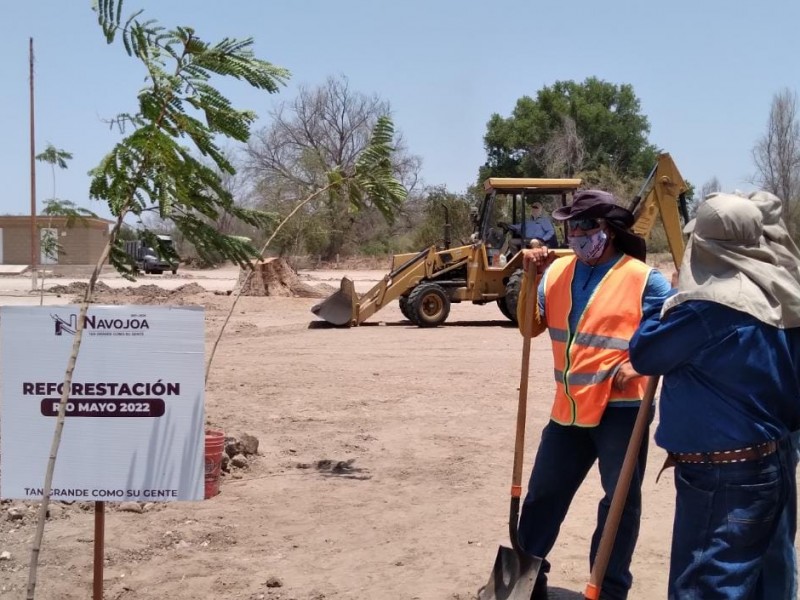 Inauguran primera etapa del programa de reforestación del Río