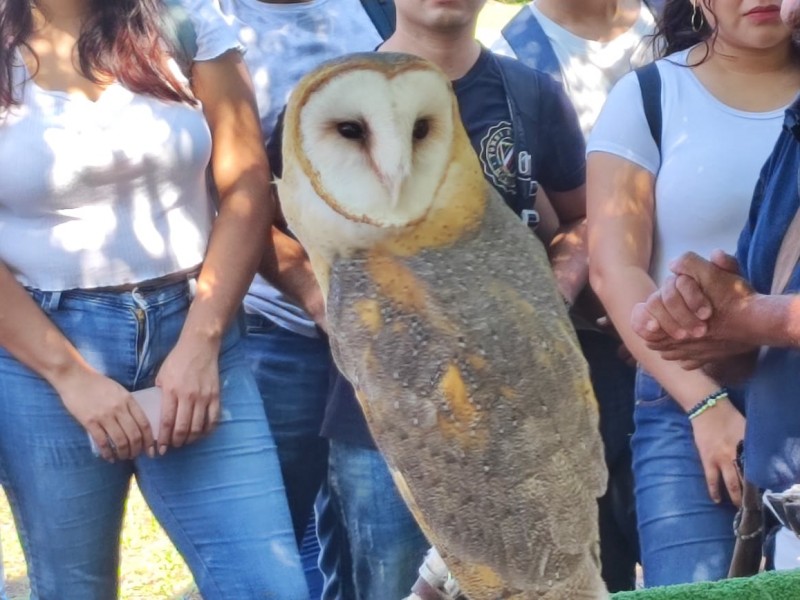 Inauguran Tercer festival de Aves Migratorias en Tuxpan