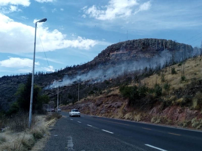 Incendian Cerro de la Bufa, suman 556 incendios