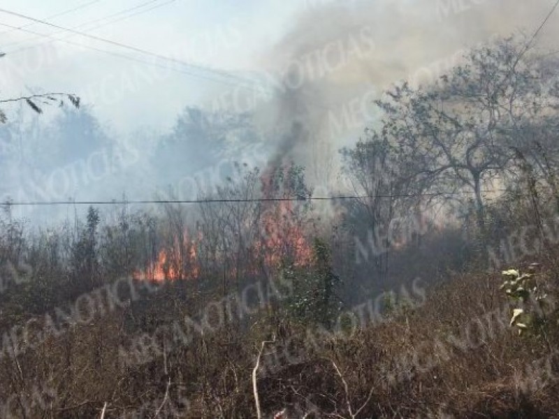 Incendio a la altura del Puente Zapotalillo