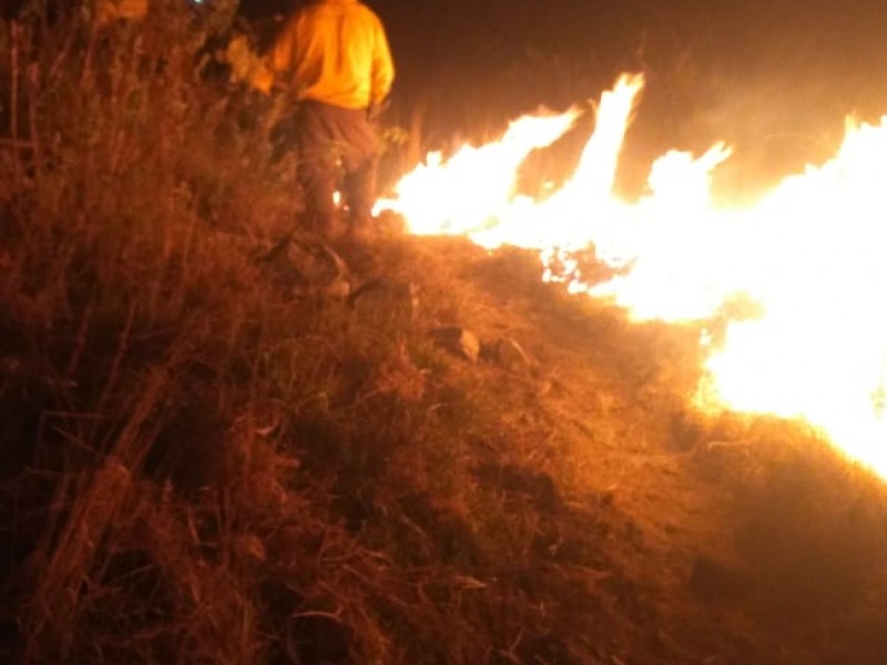 Incendio afecta 11.9 hectáreas en La Primavera