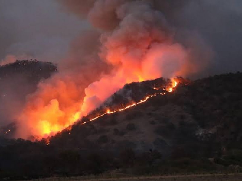 Incendio afecta 280 hectáreas en la Primavera