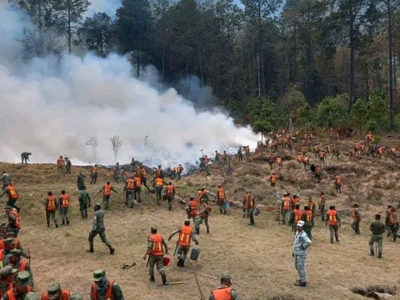 Incendio afecta a vegetación de rancho nuevo